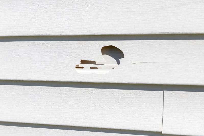 Vertical Vinyl Siding Repair